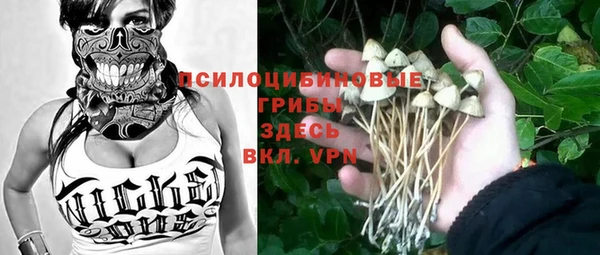 гашик Покров